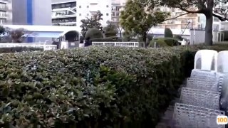 精品人妻一区二区三区丽宫🈲色播会🈲无码黄片免费在线播放